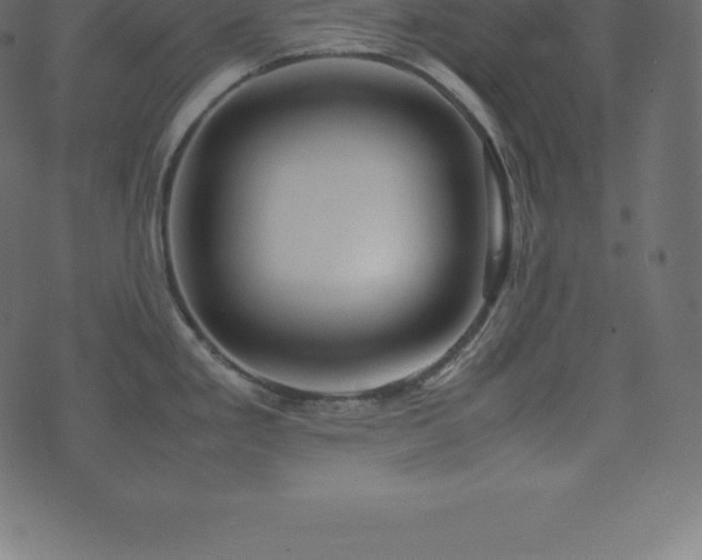 X0000074331293200608251316