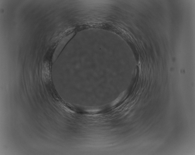 X0000074331298200608251315
