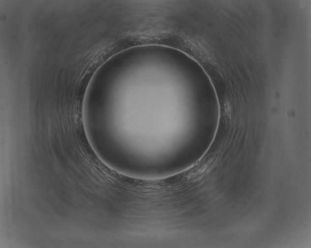 X0000074331300200608251315