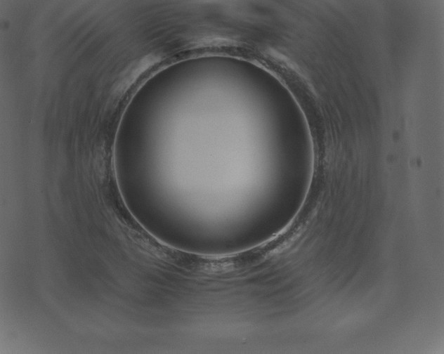 X0000074331313200608251316