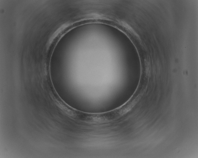 X0000074331318200608251316