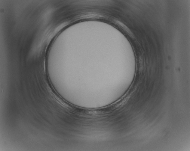 X0000074331322200608251316