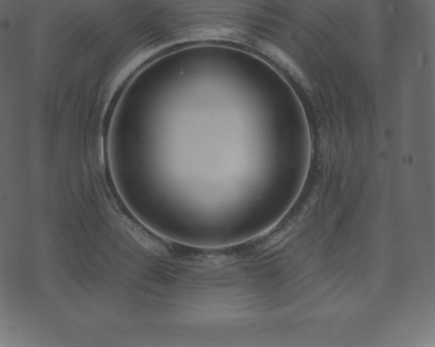 X0000074331324200608251316