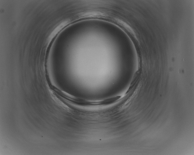 X0000074331330200608251316