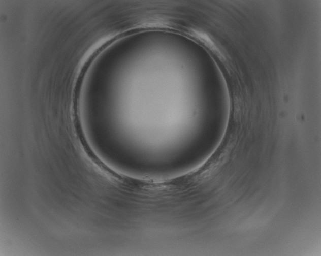 X0000074331331200608251316