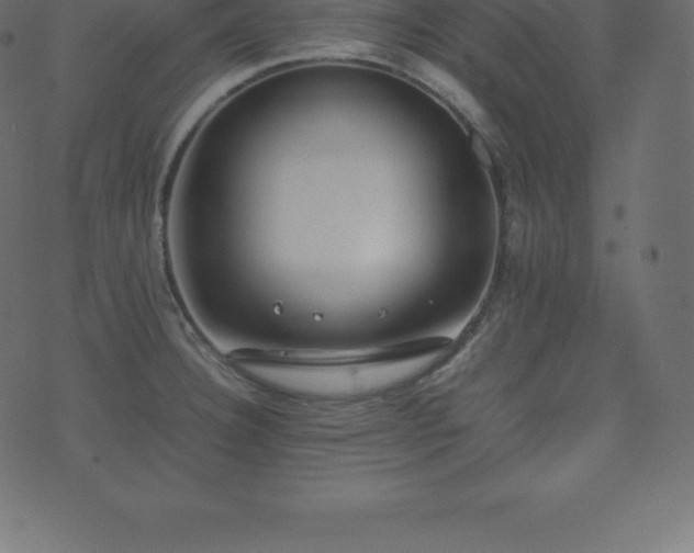 X0000074331332200608251316