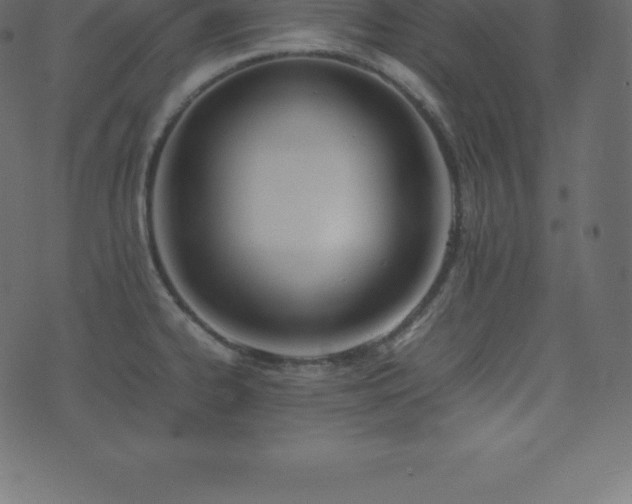 X0000074331334200608251316