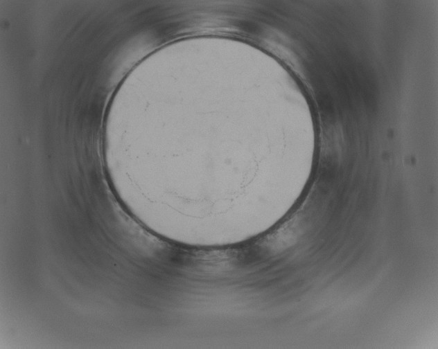 X0000074331338200608251316