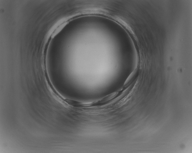 X0000074331342200608251316