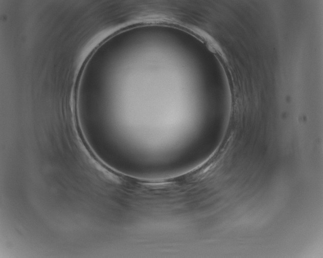 X0000074331343200608251316
