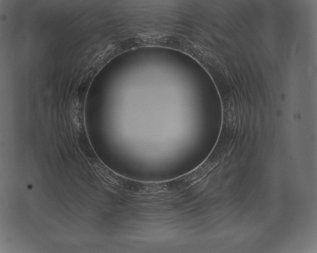 X0000074331346200608251315