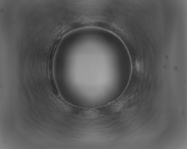 X0000074331348200608251315