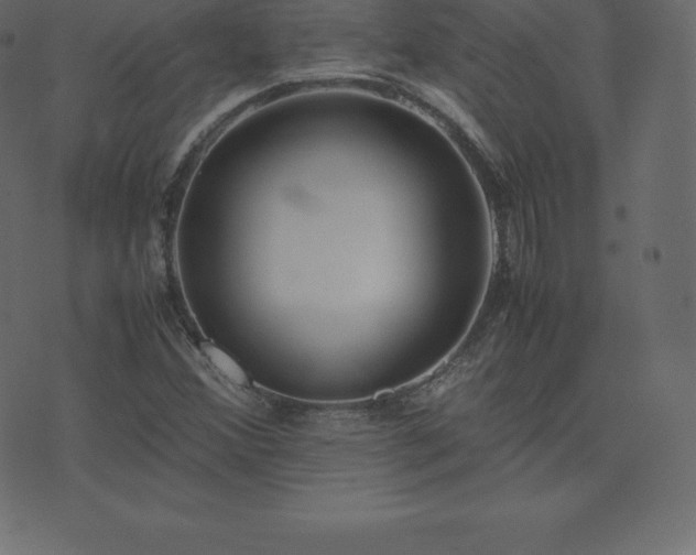 X0000074331356200608251315