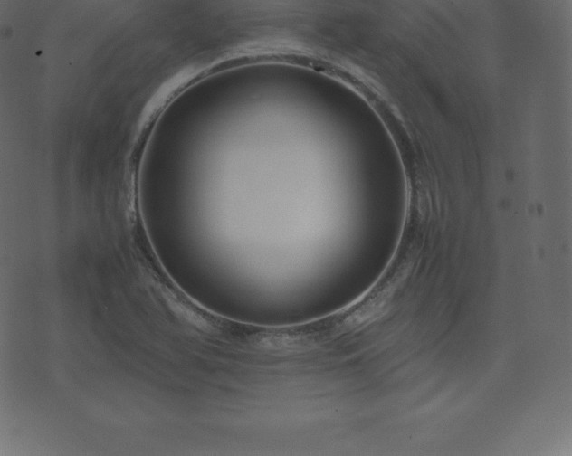 X0000074331366200608251315