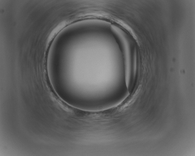 X0000074331373200608251315