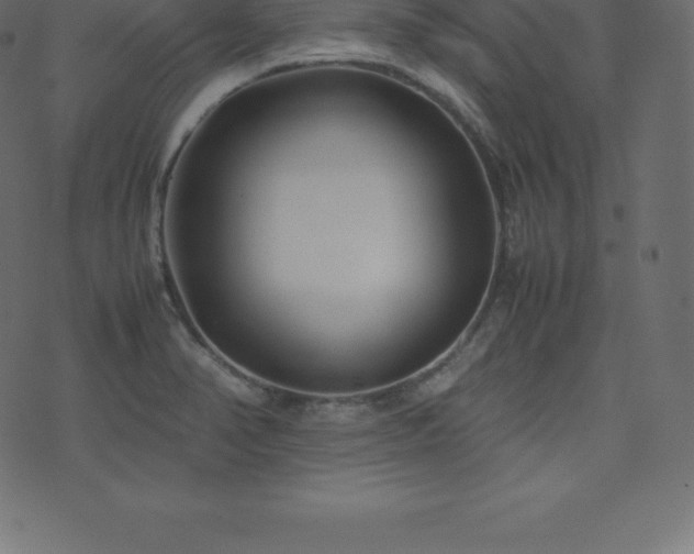 X0000074331374200608251315