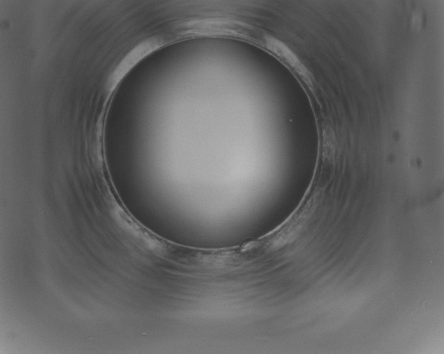X0000074331386200608251315