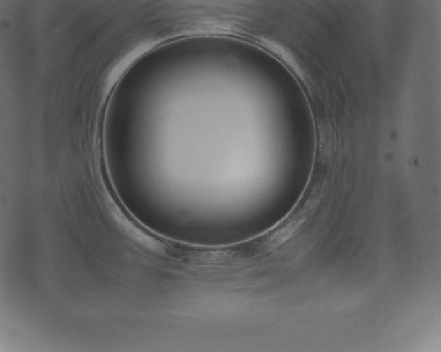 X0000074331387200608251315