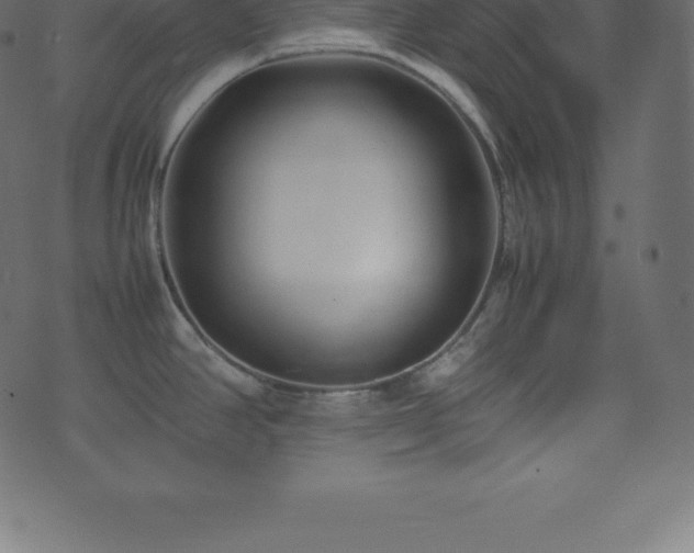 X0000074331390200608251315