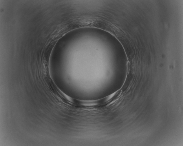 X0000074331394200608251314
