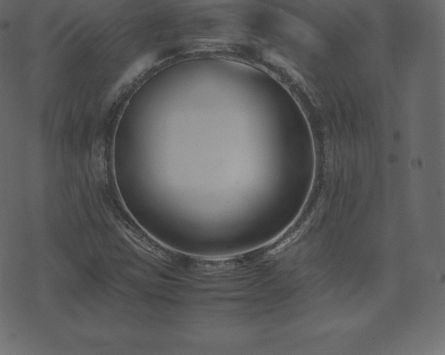 X0000074331403200608251314