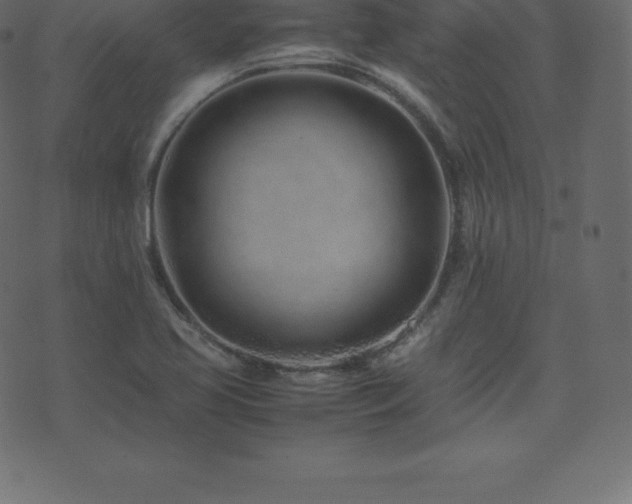 X0000074331413200608251314