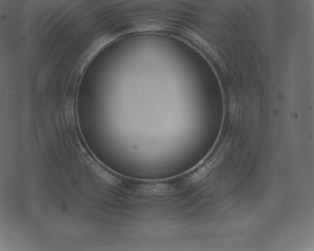 X0000074331417200608251314