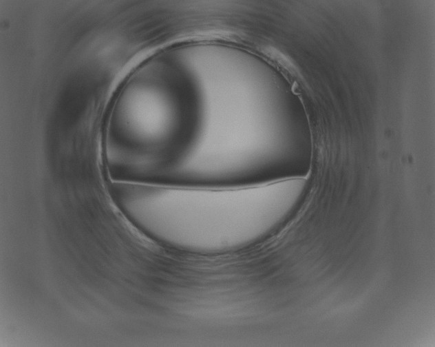 X0000074331420200608251314