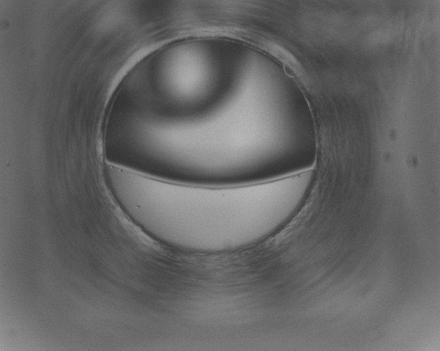 X0000074331428200608251314