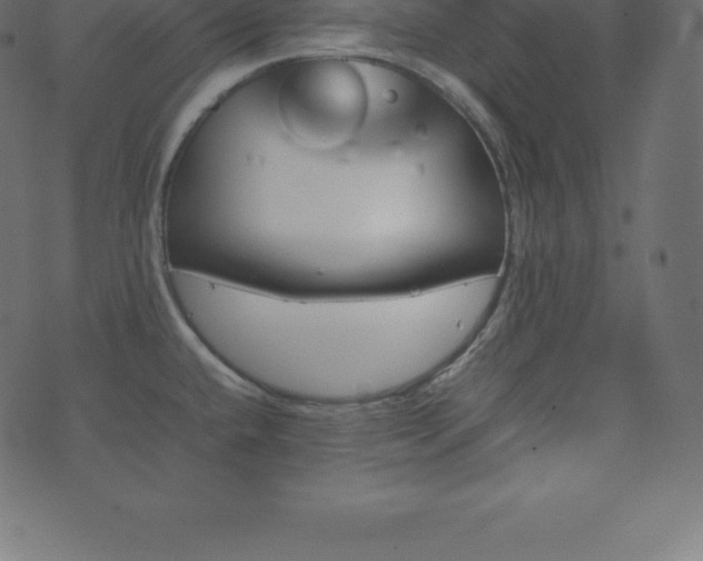 X0000074331432200608251314