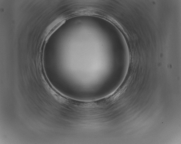 X0000074331434200608251315
