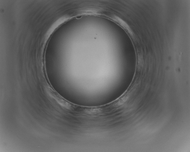 X0000074331435200608251315