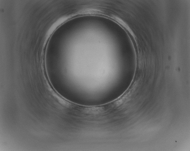 X0000074331437200608251315