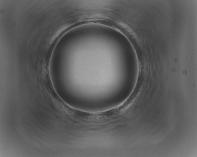 X0000074331457200608251314