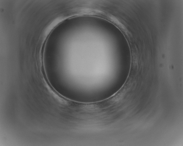 X0000074331479200608251313