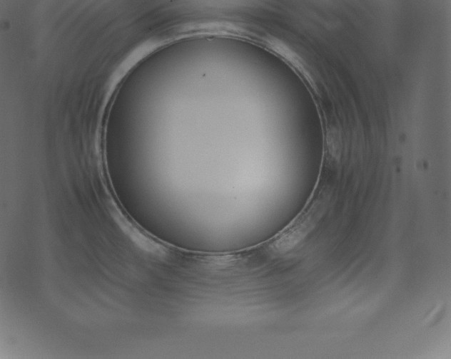 X0000074331482200608251313