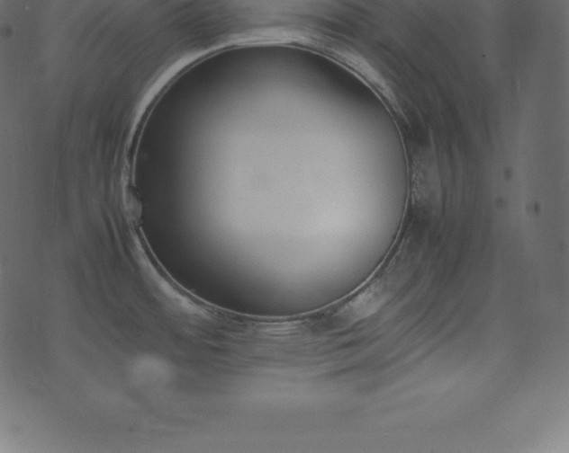 X0000074331484200608251313