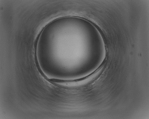 X0000074331508200608251313