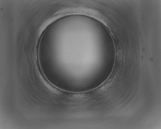 X0000074331523200608251313