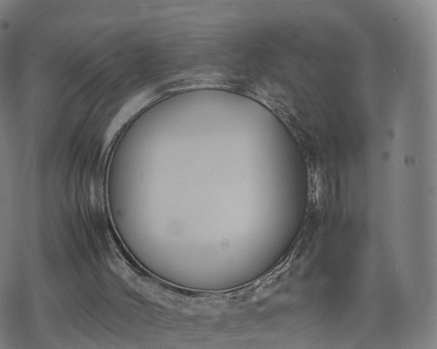 X0000074330004200609011614