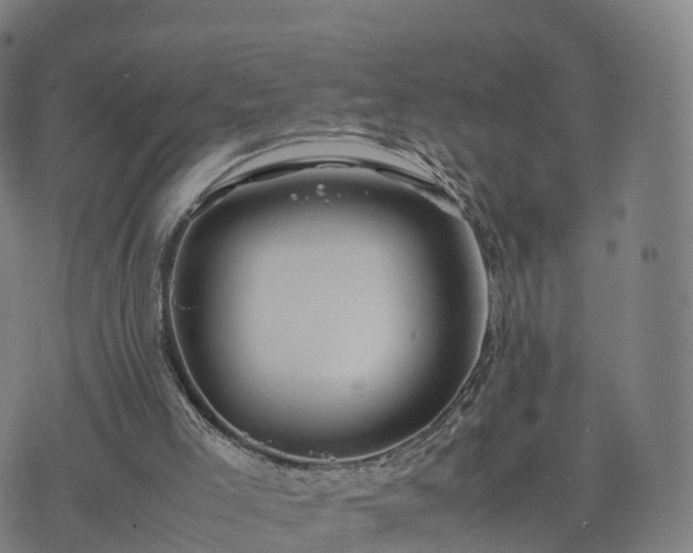 X0000074330005200609011614