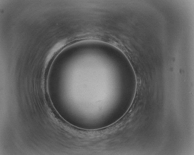 X0000074330006200609011614