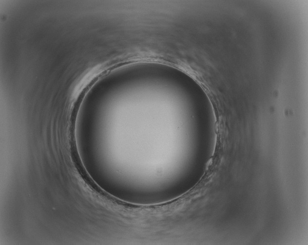 X0000074330007200609011614