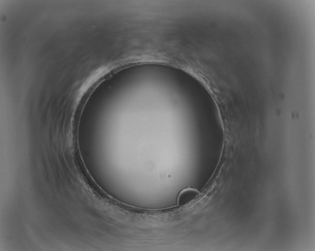 X0000074330008200609011614