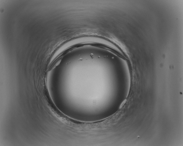 X0000074330009200609011614