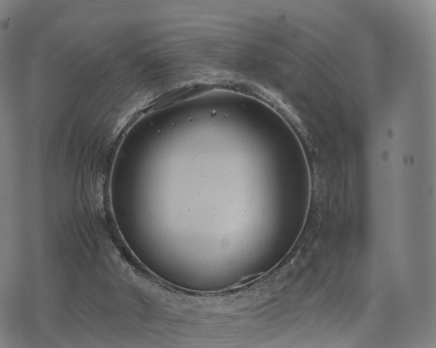 X0000074330010200609011614