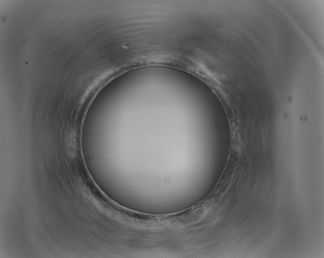 X0000074330012200609011614