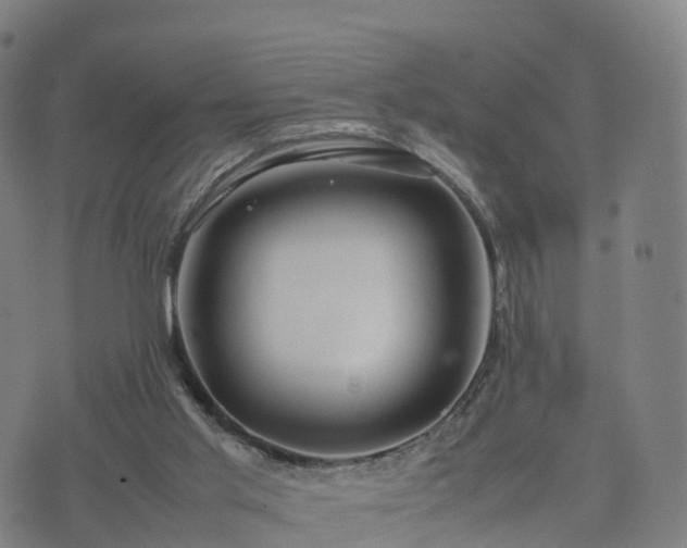 X0000074330013200609011614