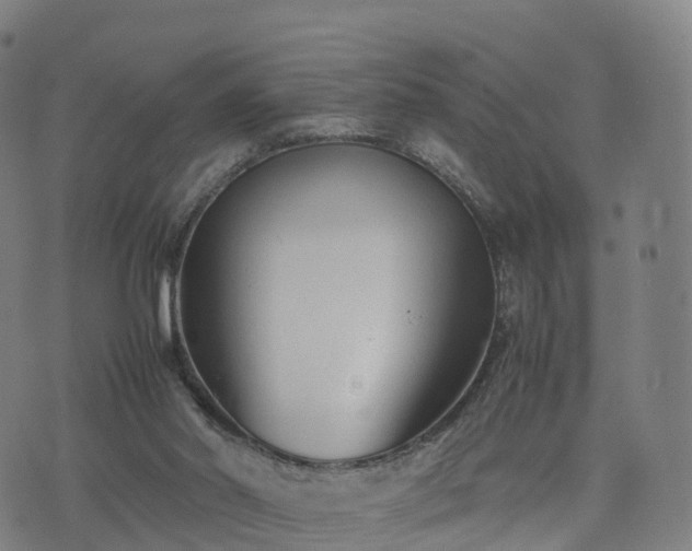 X0000074330014200609011614