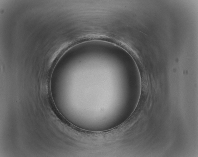 X0000074330015200609011614